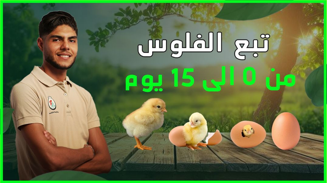ترببية الفلوس من اليوم الأول ل33 يوم القسم الثاني